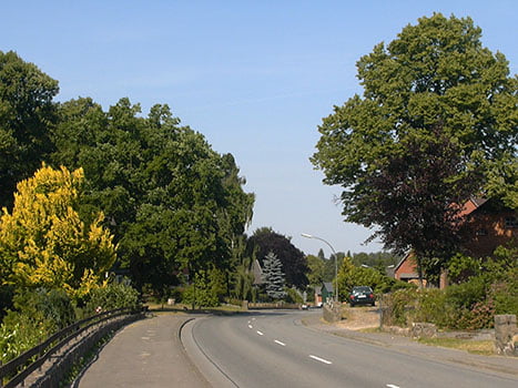 Blick entlang der Dorfstra&szlig;e in Nettelsee in Richtung Ehrenmal und Dorfmitte.